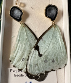 Uniquellery Extraordinary Morpho Butterfly Wing Earrings - The Kemble Shop