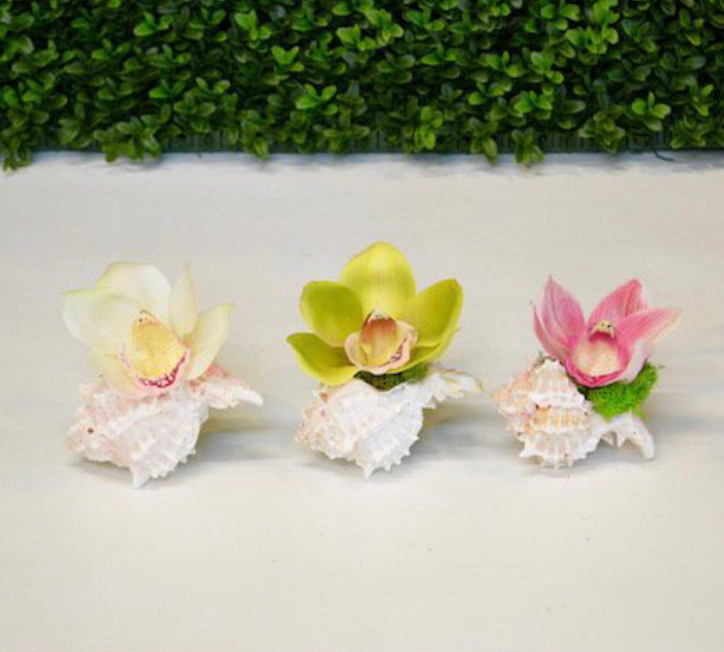 Mini Orchid Bloom in Murex Shell - The Kemble Shop