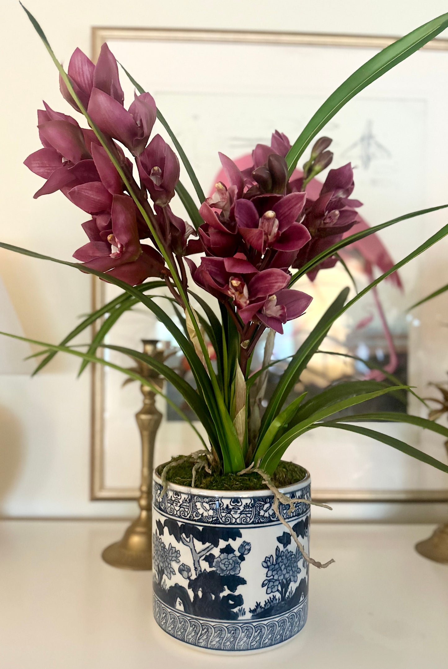 Burgundy Cymbidium Ochids in Chinoiserie Pot - The Kemble Shop