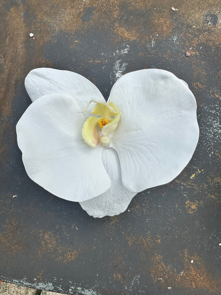 Floral - Mini Orchid Bloom - The Kemble Shop