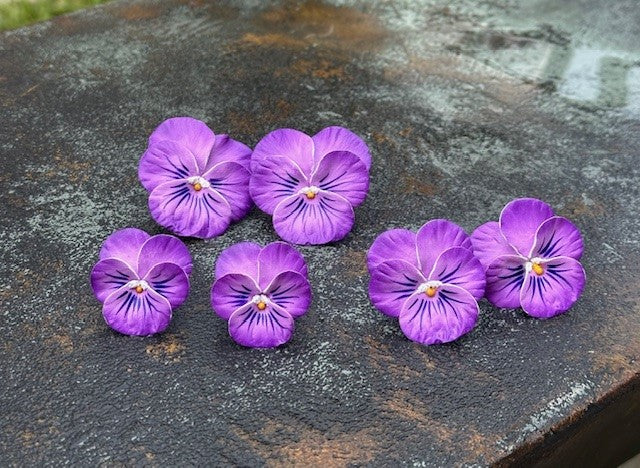 Pansy Earrings | Shades of Lavender with Whiskers | Small - The Kemble Shop