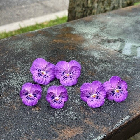 Pansy Earrings | Shades of Lavender with Whiskers | Small - The Kemble Shop