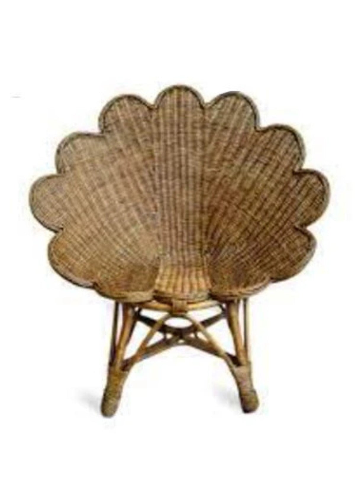 Scallop Shell Chair Rattan Scalloped Shell Chair - Natural & Dark – The Kemble Shop