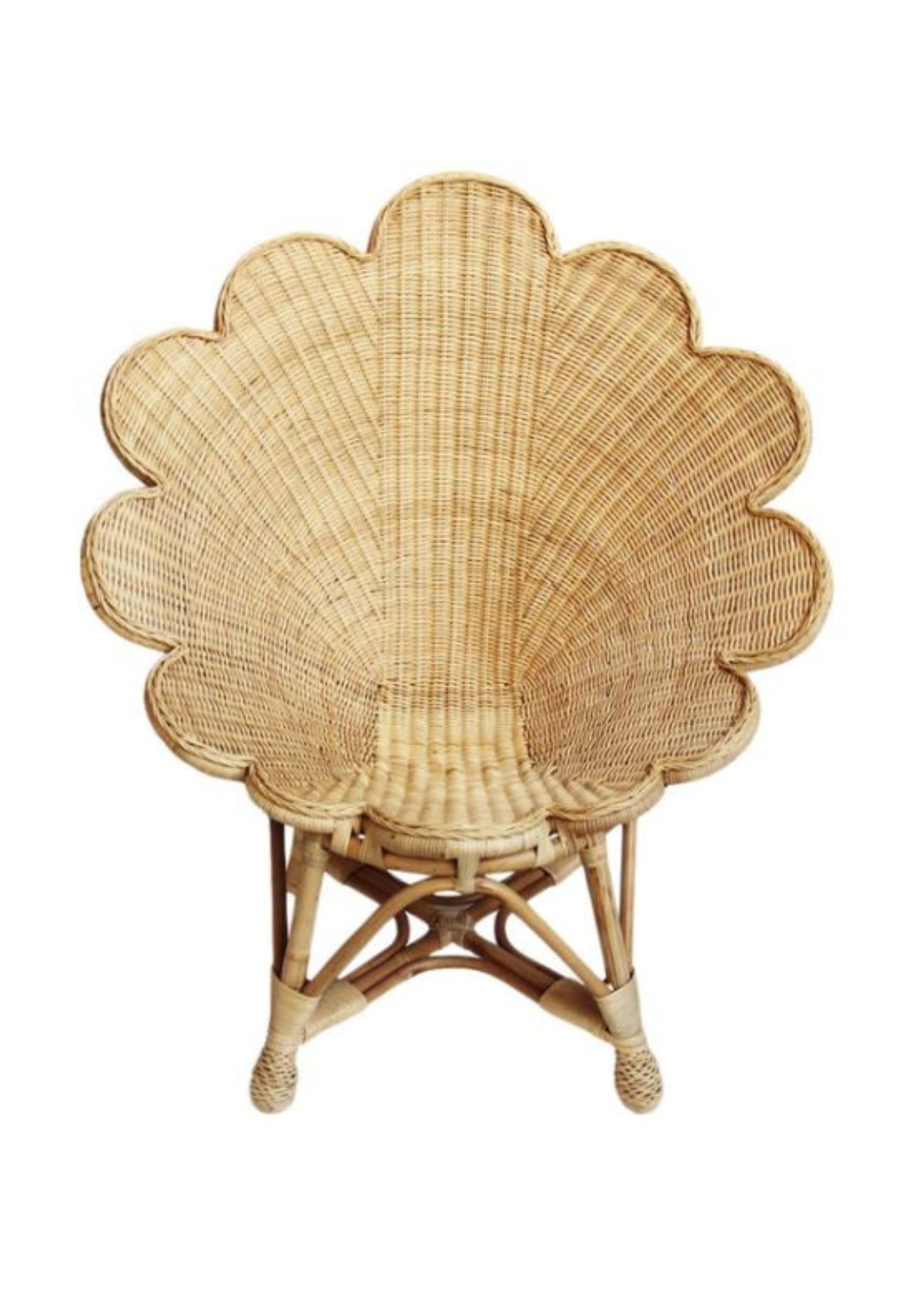 Scallop Shell Chair Furnishings – The Kemble Shop