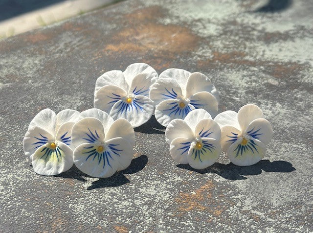 Pansy Earrings | Medium White with Blue Whiskers - The Kemble Shop