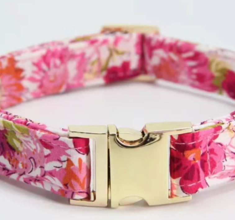 Floral Dog/Cat Collar