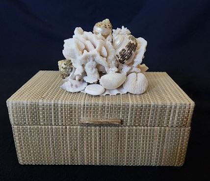 Decorative Rattan Shell Box 8x9x5.5 - The Kemble Shop