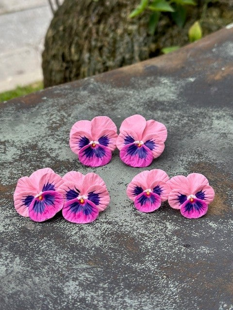 Pansy Earrings | Shades of Pink | Large - The Kemble Shop