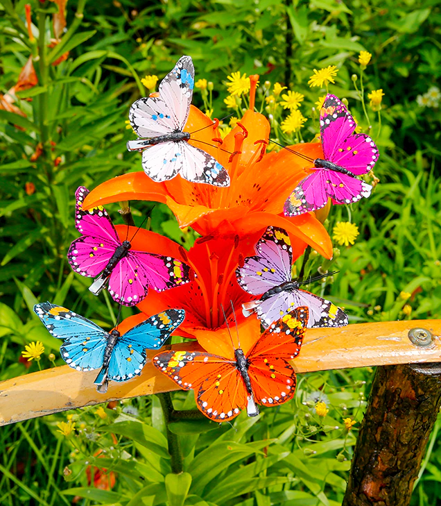 Butterfly Feather Hair Clips - The Kemble Shop