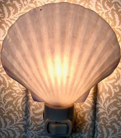 Seashell Night Lights - The Kemble Shop