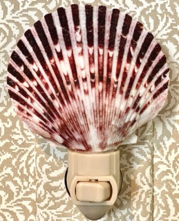 Seashell Night Lights - The Kemble Shop