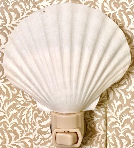 Seashell Night Lights - The Kemble Shop