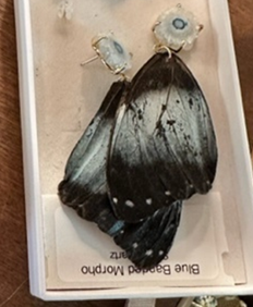 Uniquellery Extraordinary Morpho Butterfly Wing Earrings - The Kemble Shop