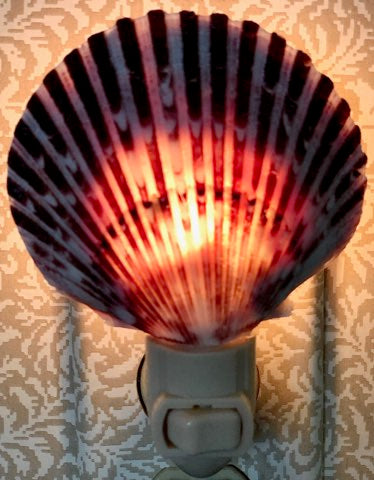 Seashell Night Lights - The Kemble Shop