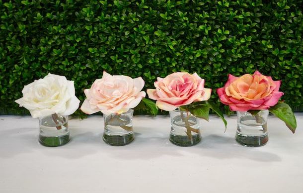 English Country Rose - The Kemble Shop