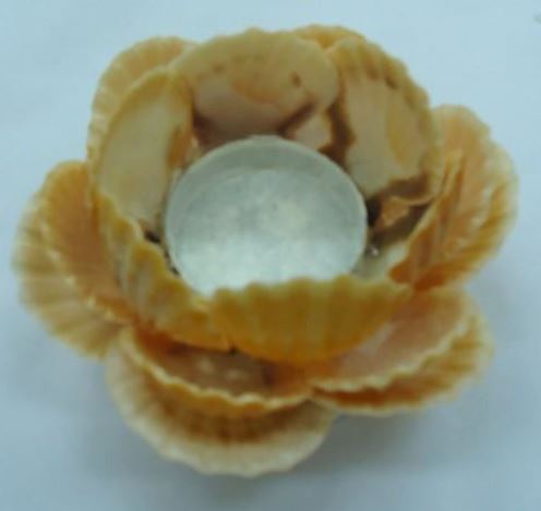 Custom Shell Tealight Votive - The Kemble Shop