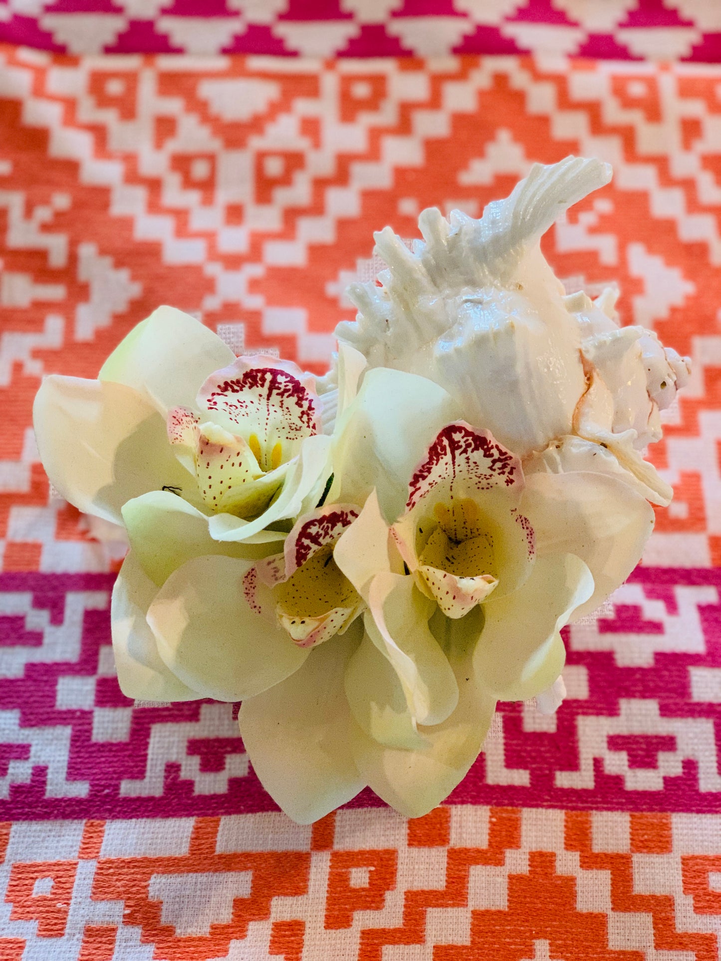 Triple Orchid Bloom in Large Conch - White, Green or Pink - The Kemble Shop