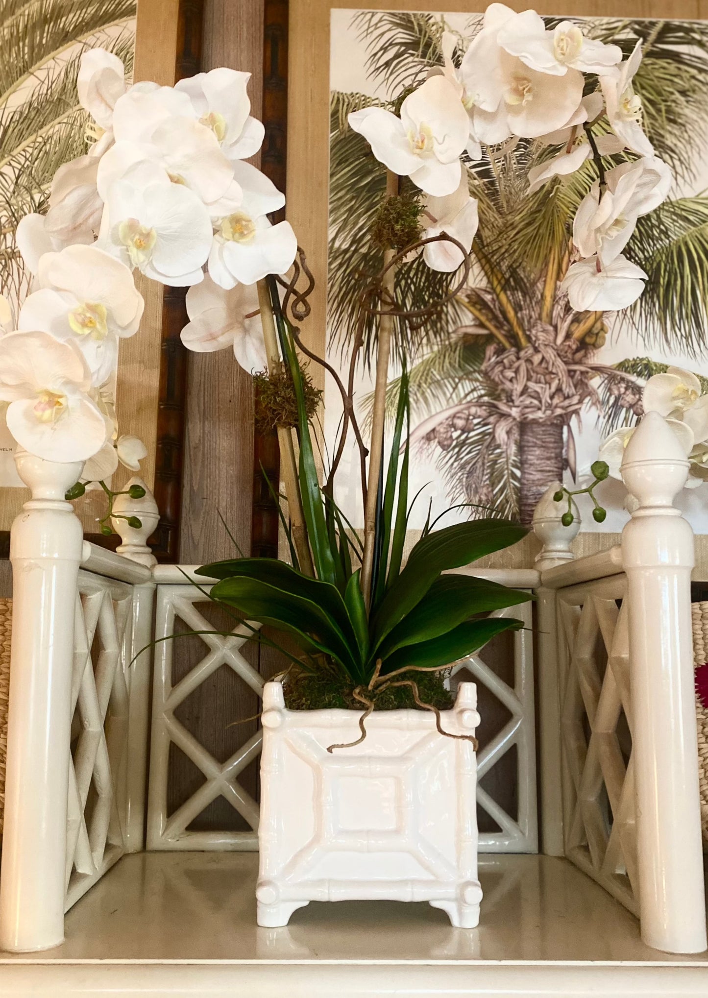 Provence Double Orchid - The Kemble Shop