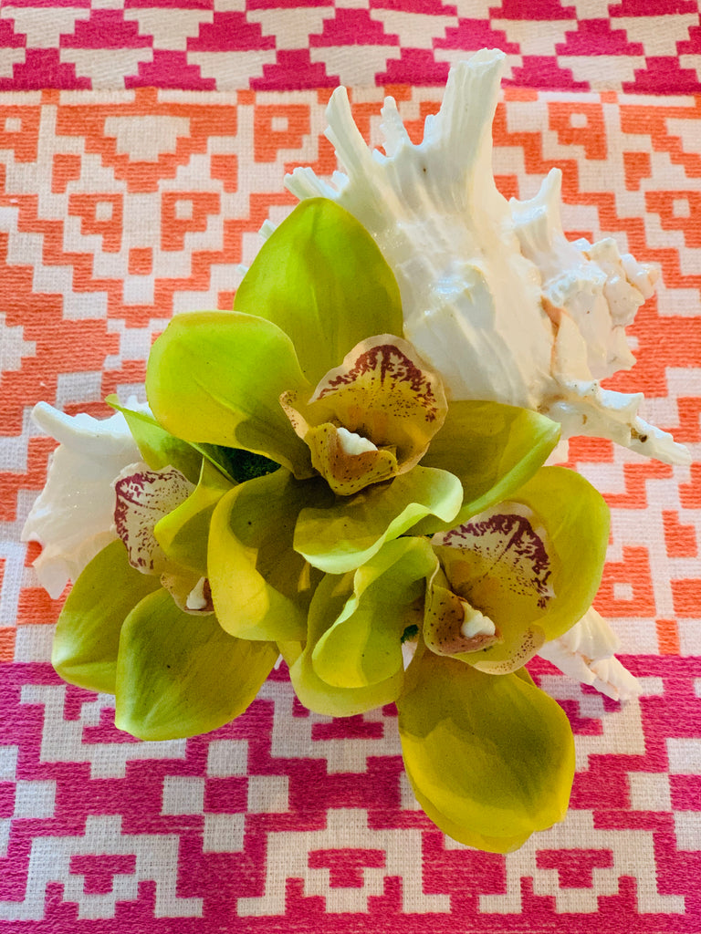 Triple Orchid Bloom in Large Conch - White, Green or Pink - The Kemble Shop