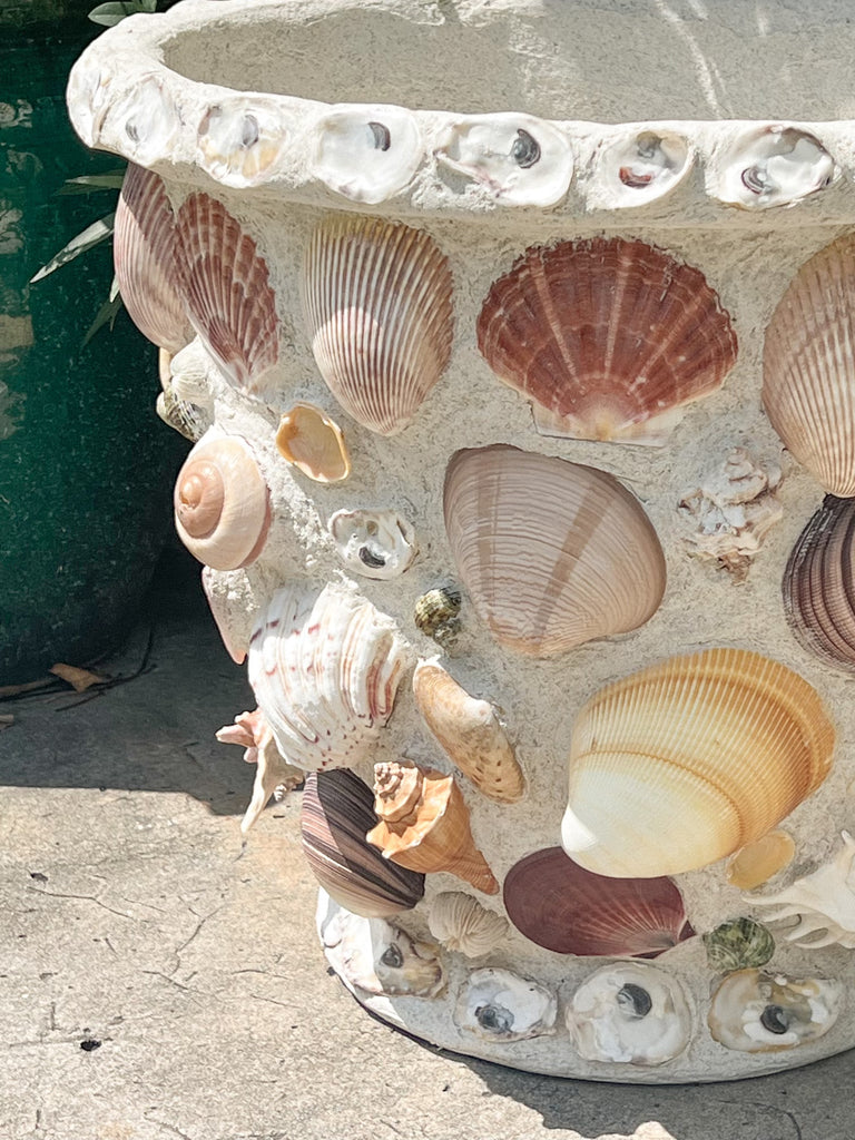 Custom Shell Planter - The Kemble Shop