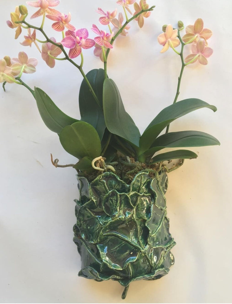 Ceramic Sea Grape Leaf Wall Planter - The Kemble Shop