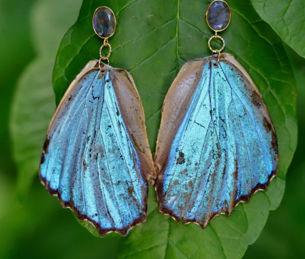 Uniquellery Extraordinary Morpho Butterfly Wing Earrings - The Kemble Shop