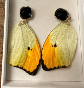 Uniquellery Extraordinary Morpho Butterfly Wing Earrings - The Kemble Shop